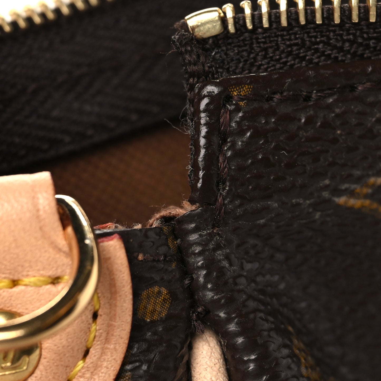 Monogram Eva Clutch