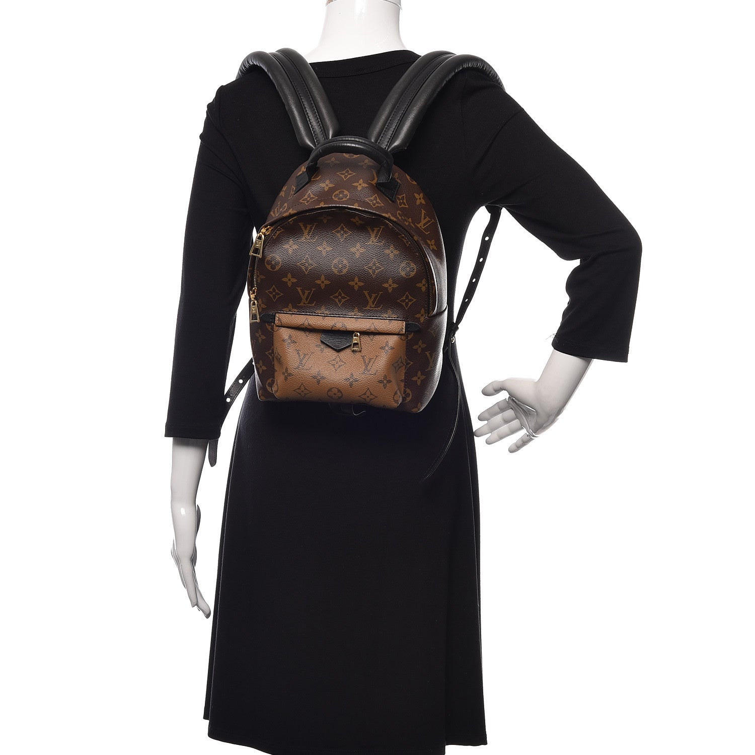 Louis Vuitton Reverse Monogram Palm Springs Backpack PM 2 of 8