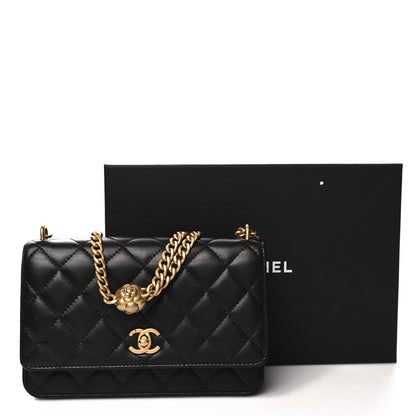 Chanel Lambskin Quilted Sweet Camellia Wallet On Chain WOC Black 12 of 12
