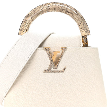 Louis Vuitton Taurillon Ayers Capucines Mini White Snow White 7 of 10