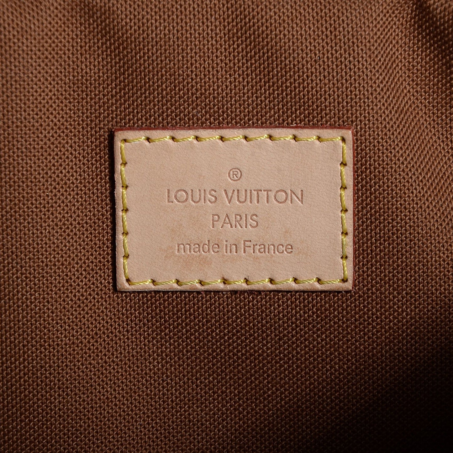 Monogram Icare Bag