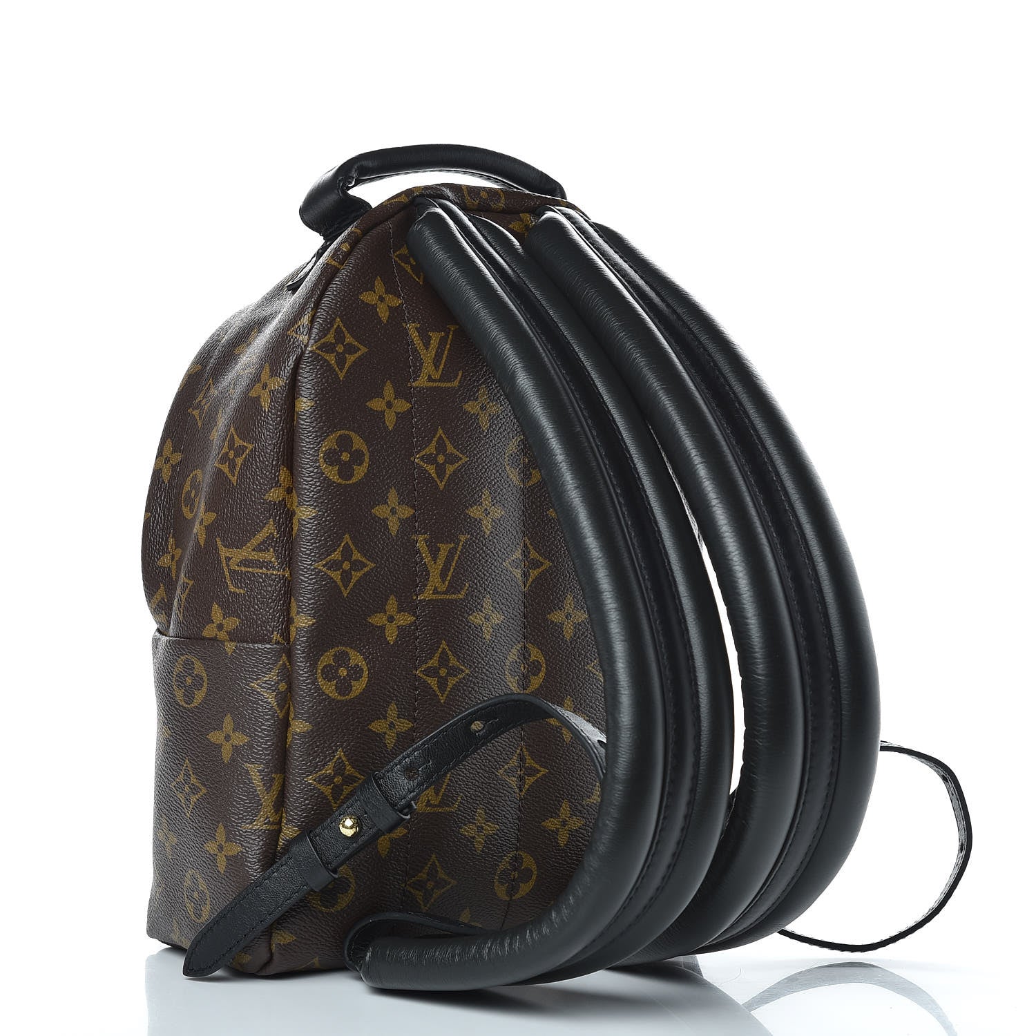 Louis Vuitton Monogram Palm Springs Backpack PM 3 of 7