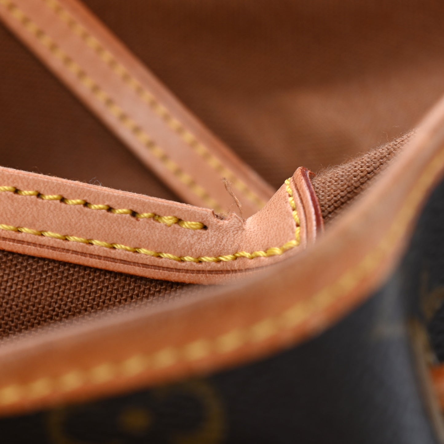 Monogram Montsouris GM Backpack