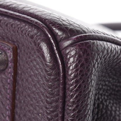 Hermes Togo Birkin 35 Raisin 19 of 19