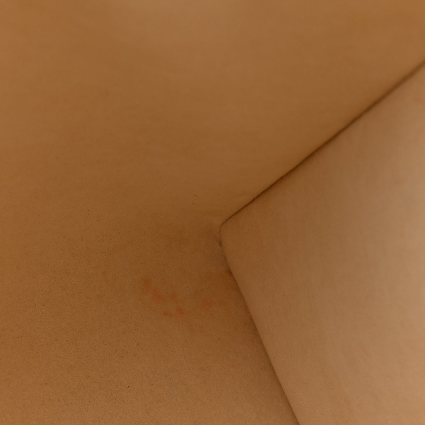 Empreinte Monogram Giant Onthego PM Cream Beige