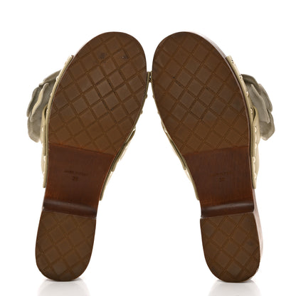 Chanel Calfskin Camellia Clogs 36 Light Beige 5 of 8