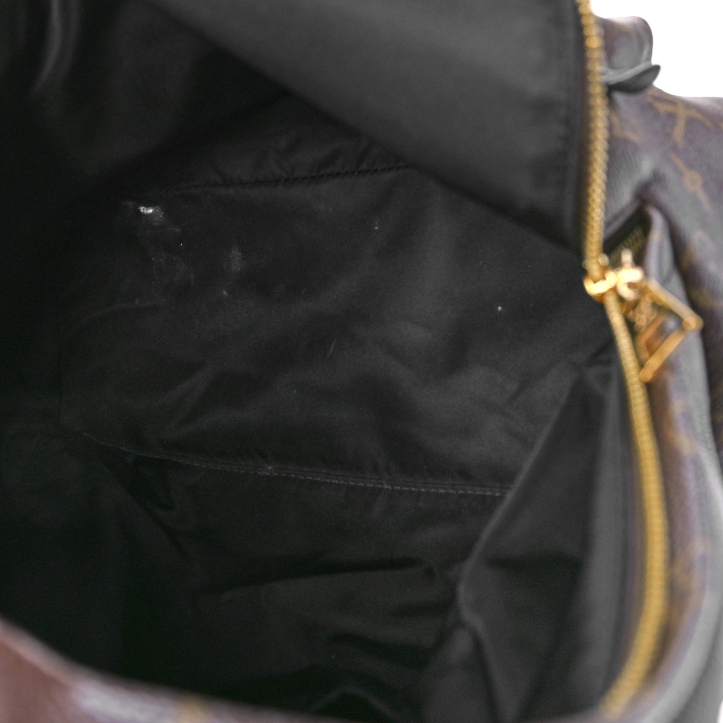 Monogram Palm Springs Backpack MM