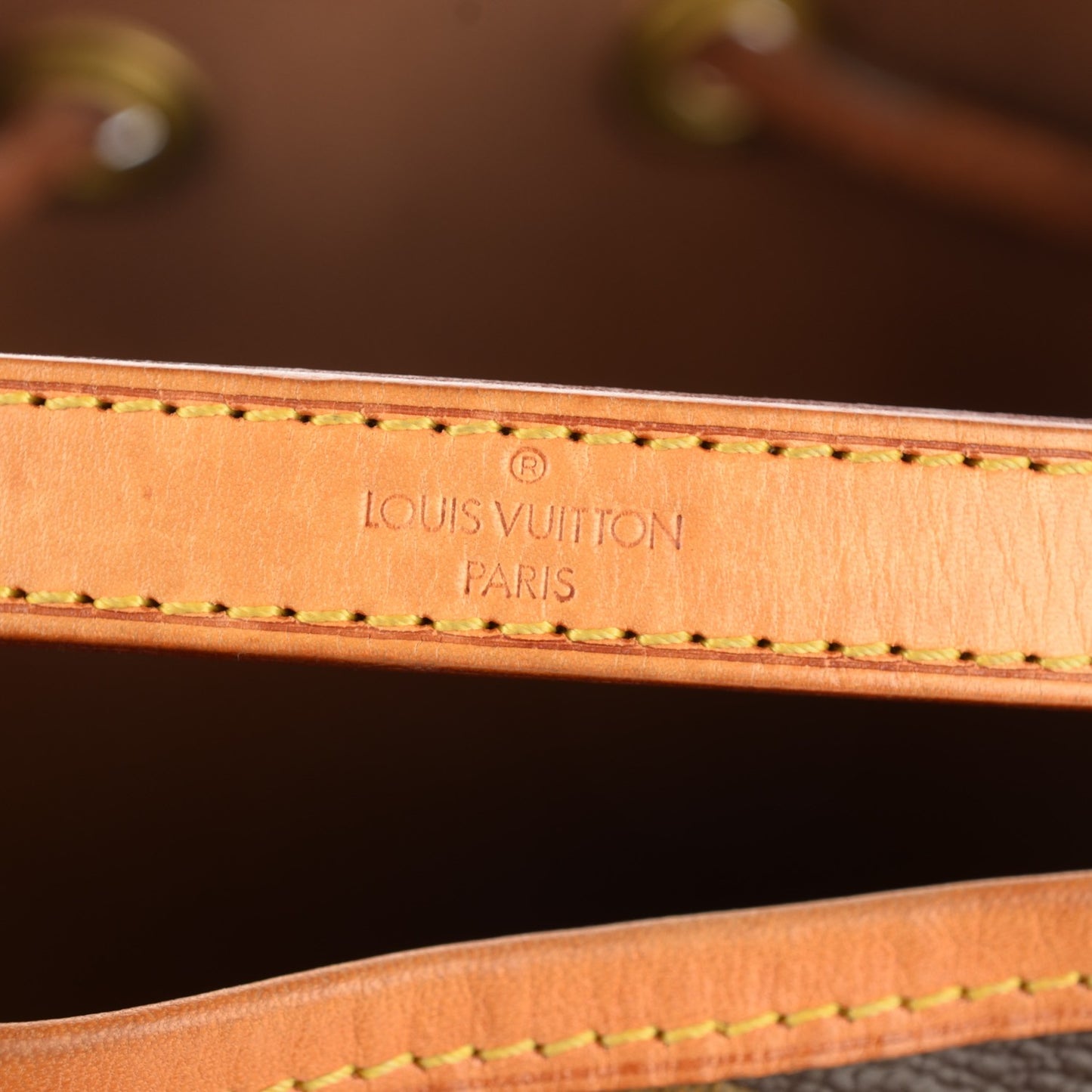Monogram Mini Noe