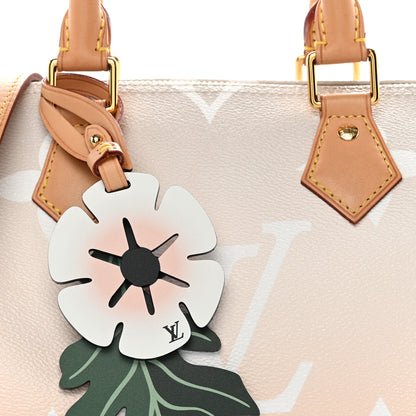 Louis Vuitton Monogram Giant By The Pool Speedy Bandouliere 25 Brume 8 of 10