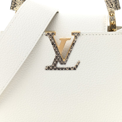 Louis Vuitton Taurillon Ayers Capucines Mini White Snow White 7 of 9