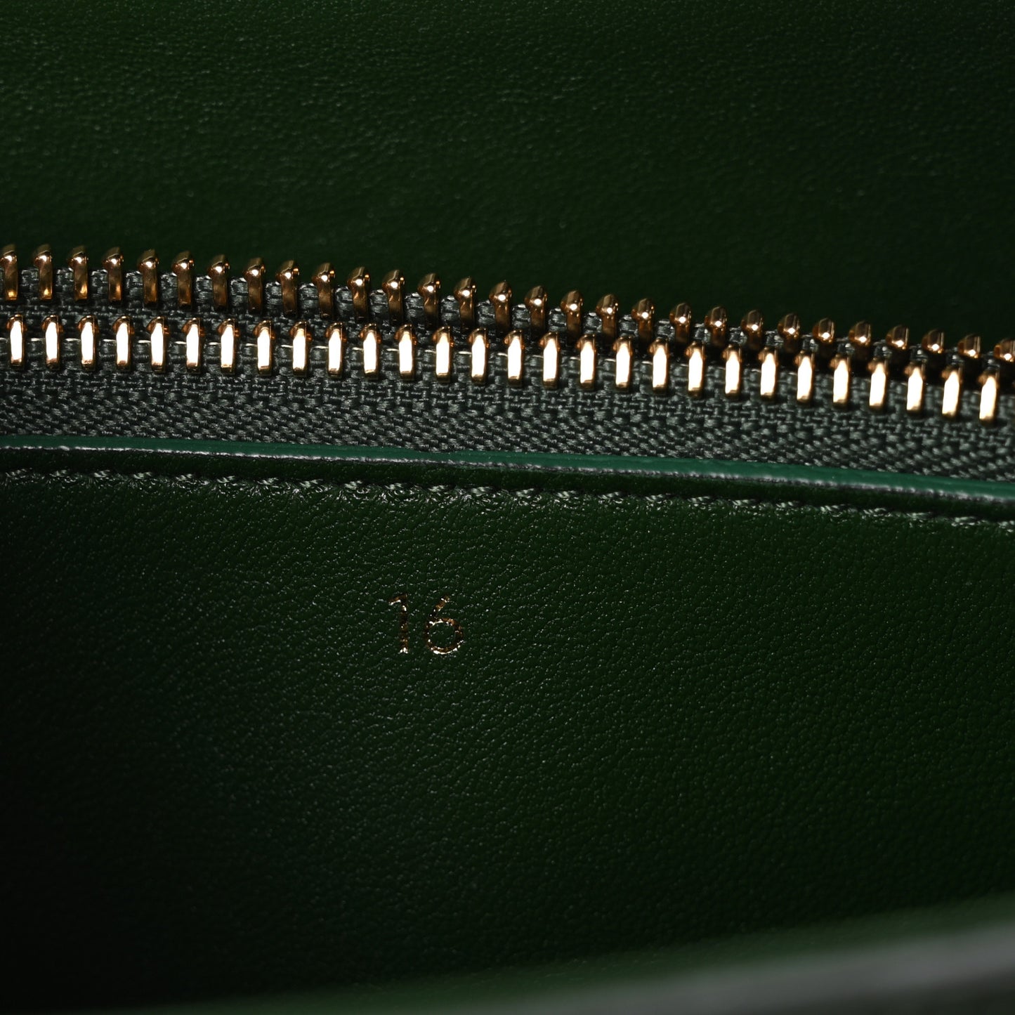 Lizard Small 16 Top Handle Bag Green