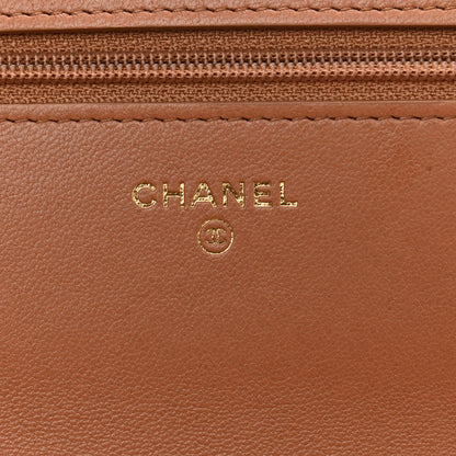 Chanel Lambskin Quilted Chanel 19 Wallet On Chain WOC Brown 6 of 12