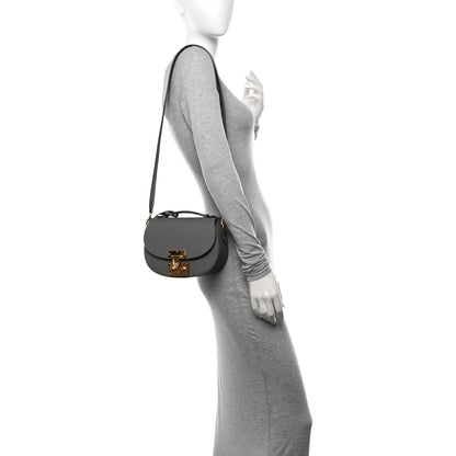 Moynat Carat Calfskin Flori PM Grey 2 of 11