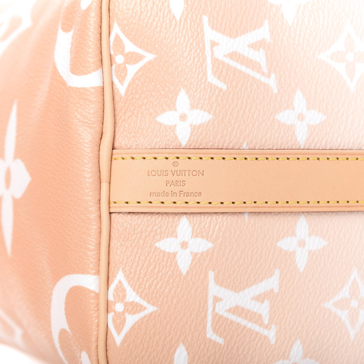 Monogram Giant By The Pool Speedy Bandouliere 25 Brume
