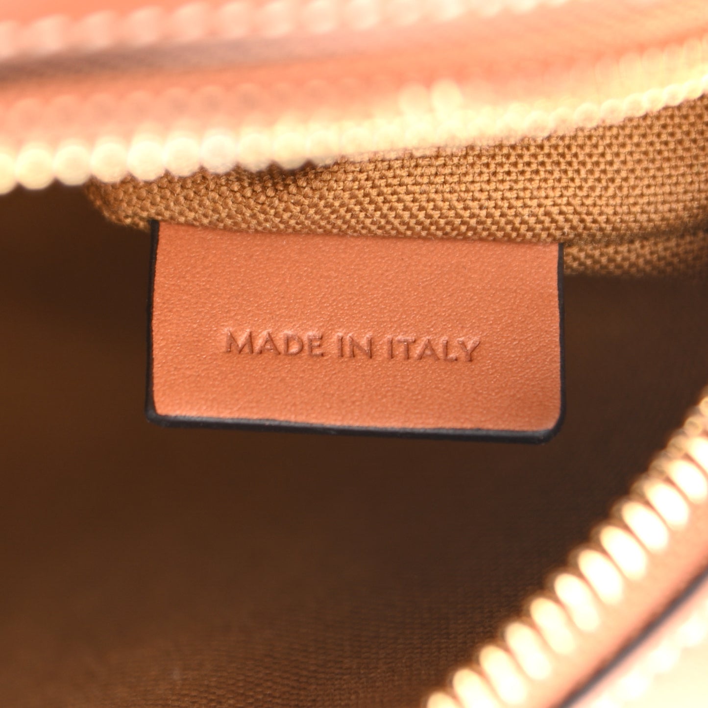 Triomphe Canvas Small Camera Bag Tan