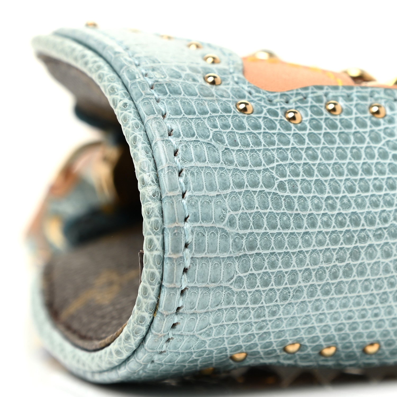Louis Vuitton Monogram Lizard Embellished Les Extraordinaires Clutch 15 of 15