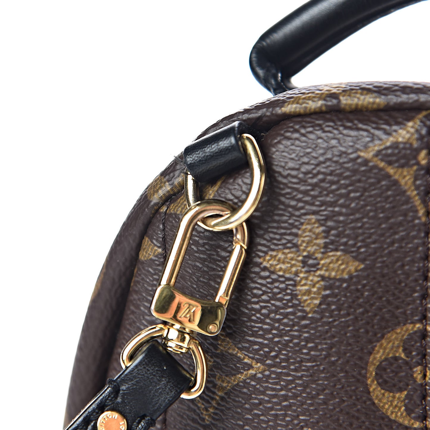 Monogram Palm Springs Backpack Mini