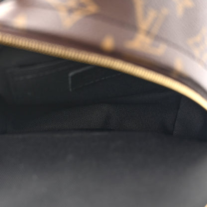 Louis Vuitton Monogram Palm Springs Backpack Mini 5 of 15
