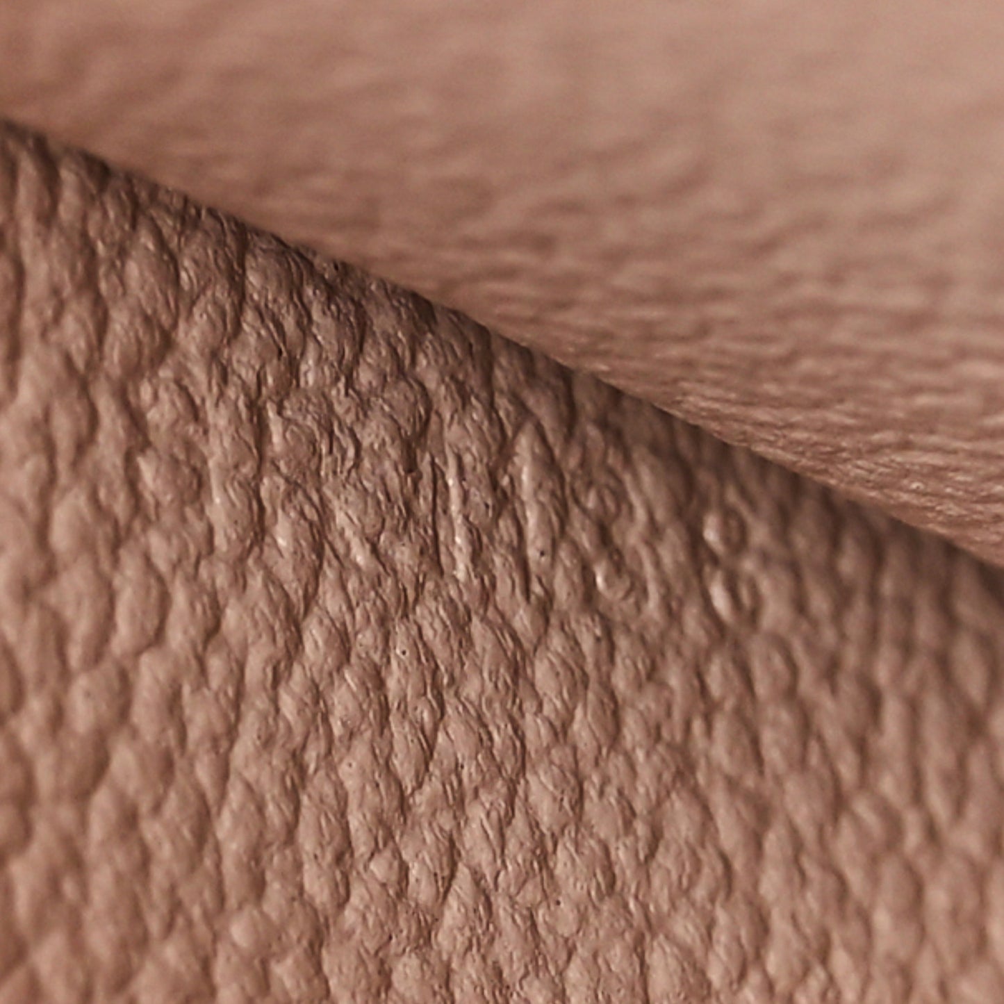 Monogram Summer Trunks Cosmetic Pouch PM