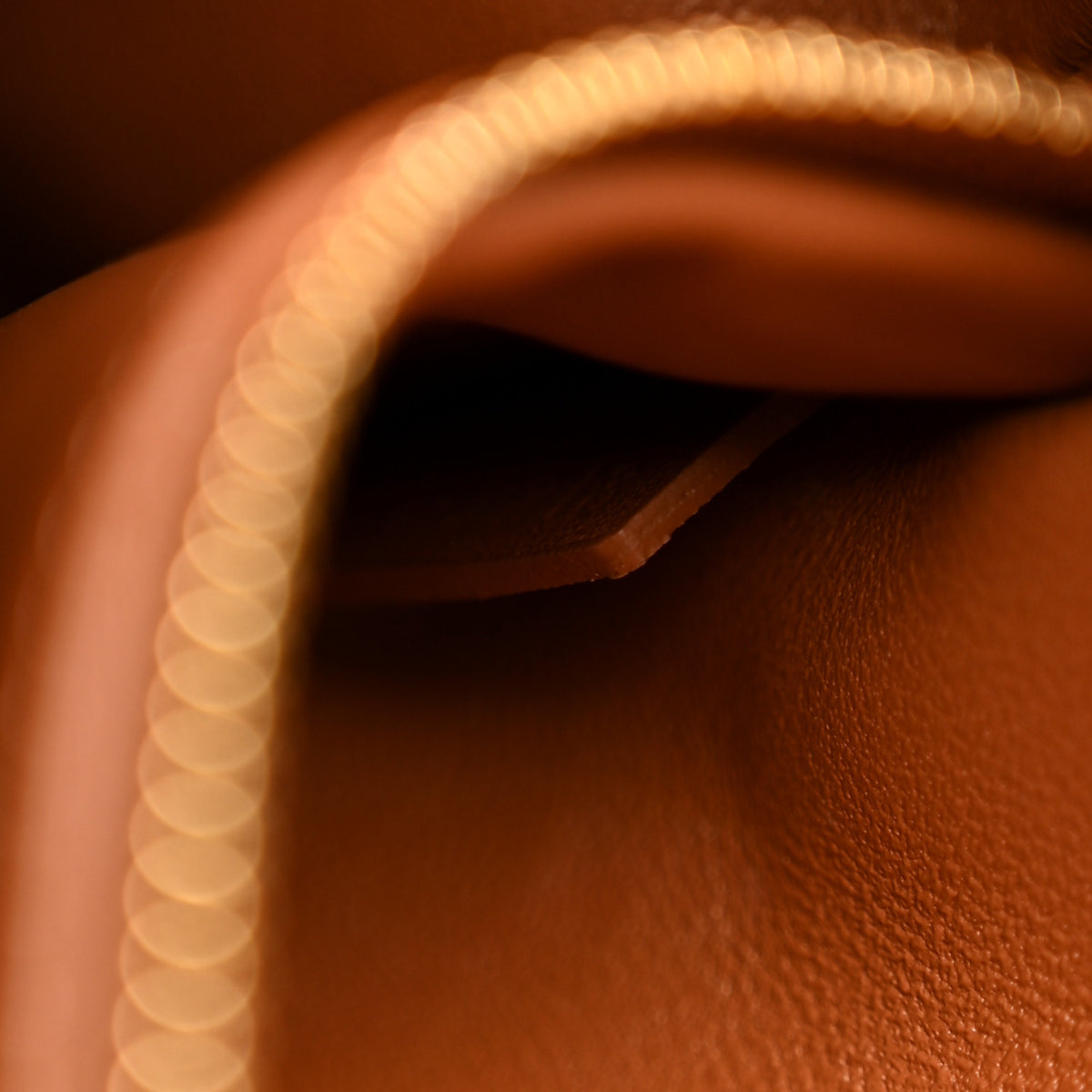 Calfskin Triomphe Canvas Teen Triomphe Bag Tan