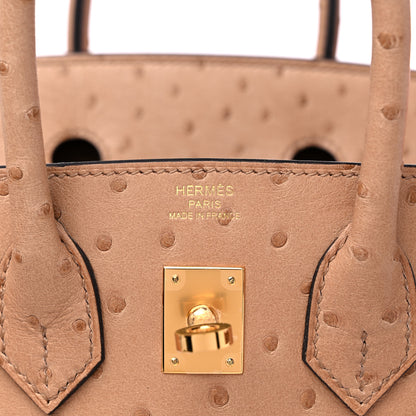 Hermes Ostrich Birkin 25 Chai 6 of 9