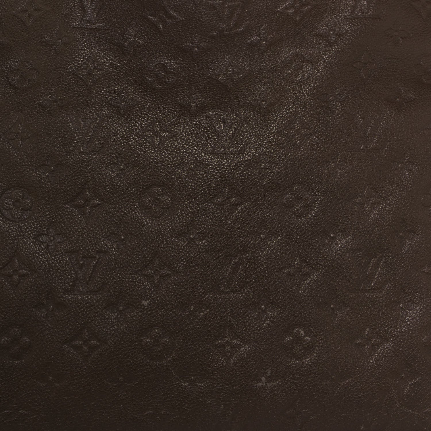 Louis Vuitton Empreinte Artsy MM Terre 6 of 12