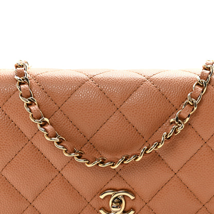 Chanel Caviar Quilted CC Turnlock Wallet On Chain WOC Brown 9 of 12