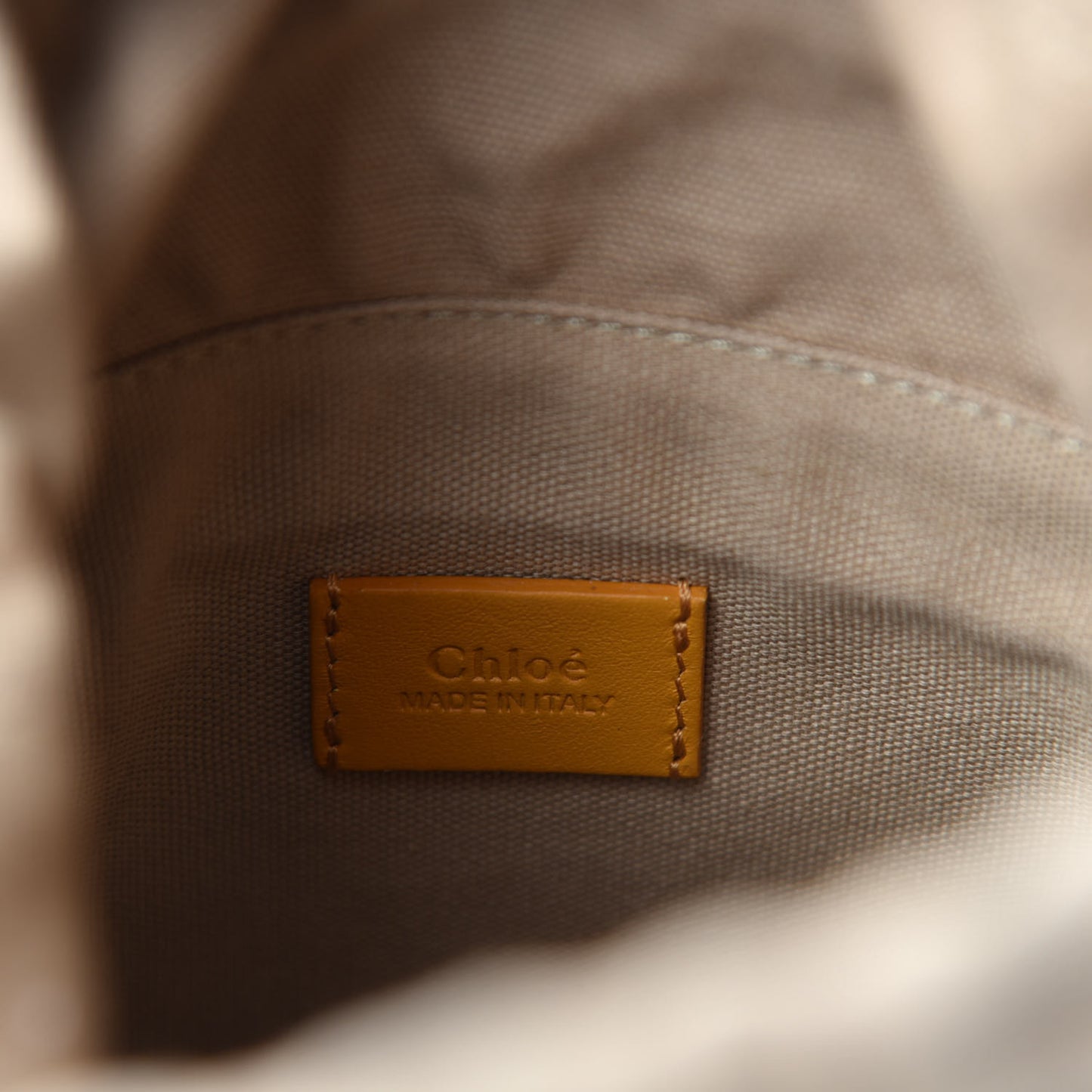 Smooth Calfskin Mini Roy Bucket Bag Burning Camel
