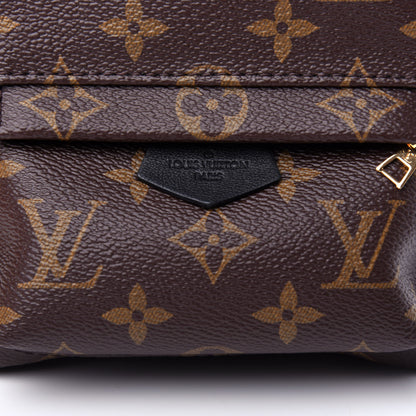 Louis Vuitton Monogram Palm Springs Backpack Mini 10 of 11