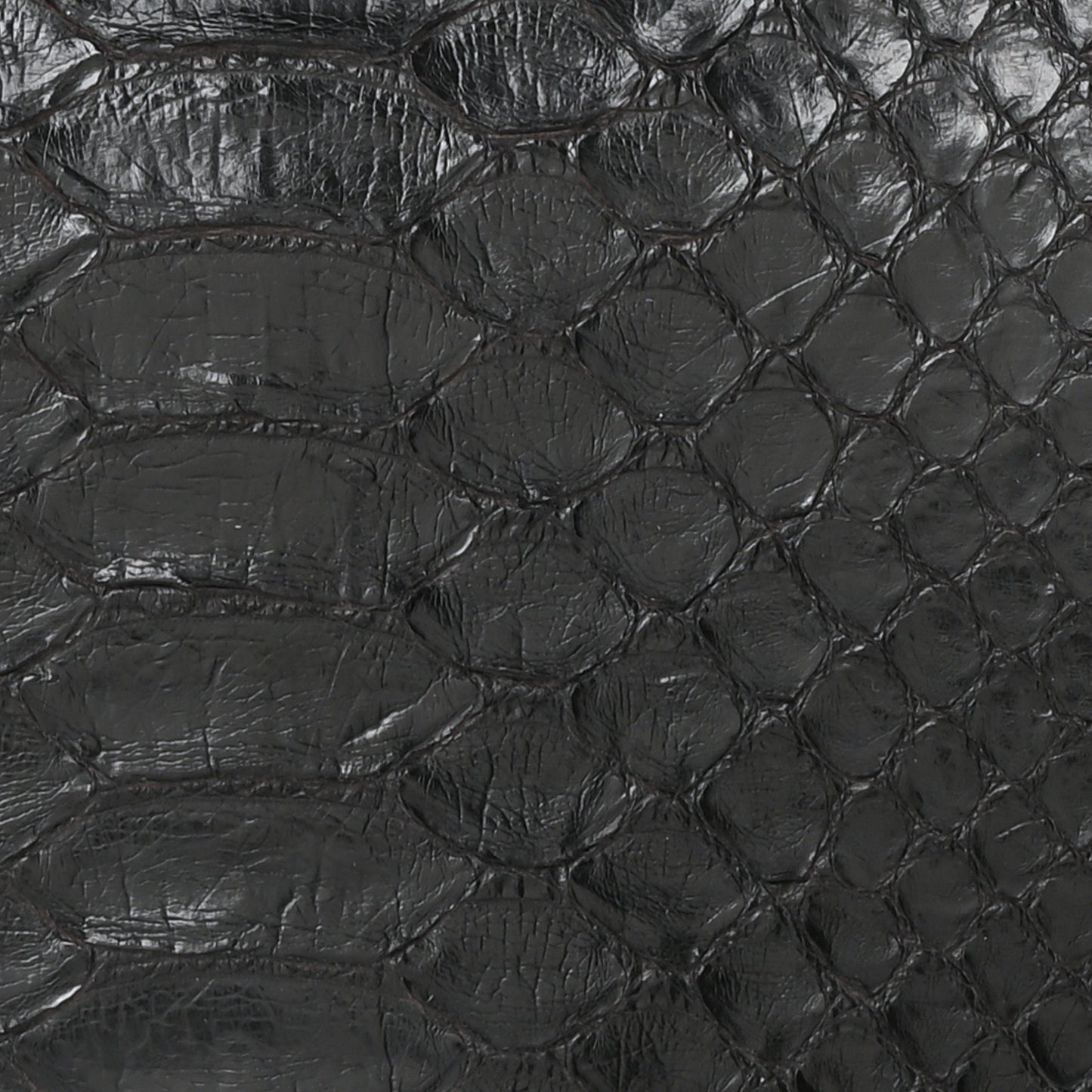 Snakeskin Medium Faye Shoulder Bag Black