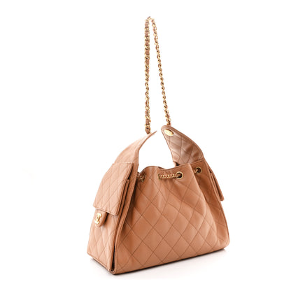 Chanel Caviar Quilted Small Chanel 25 Handbag Brown 3 of 10