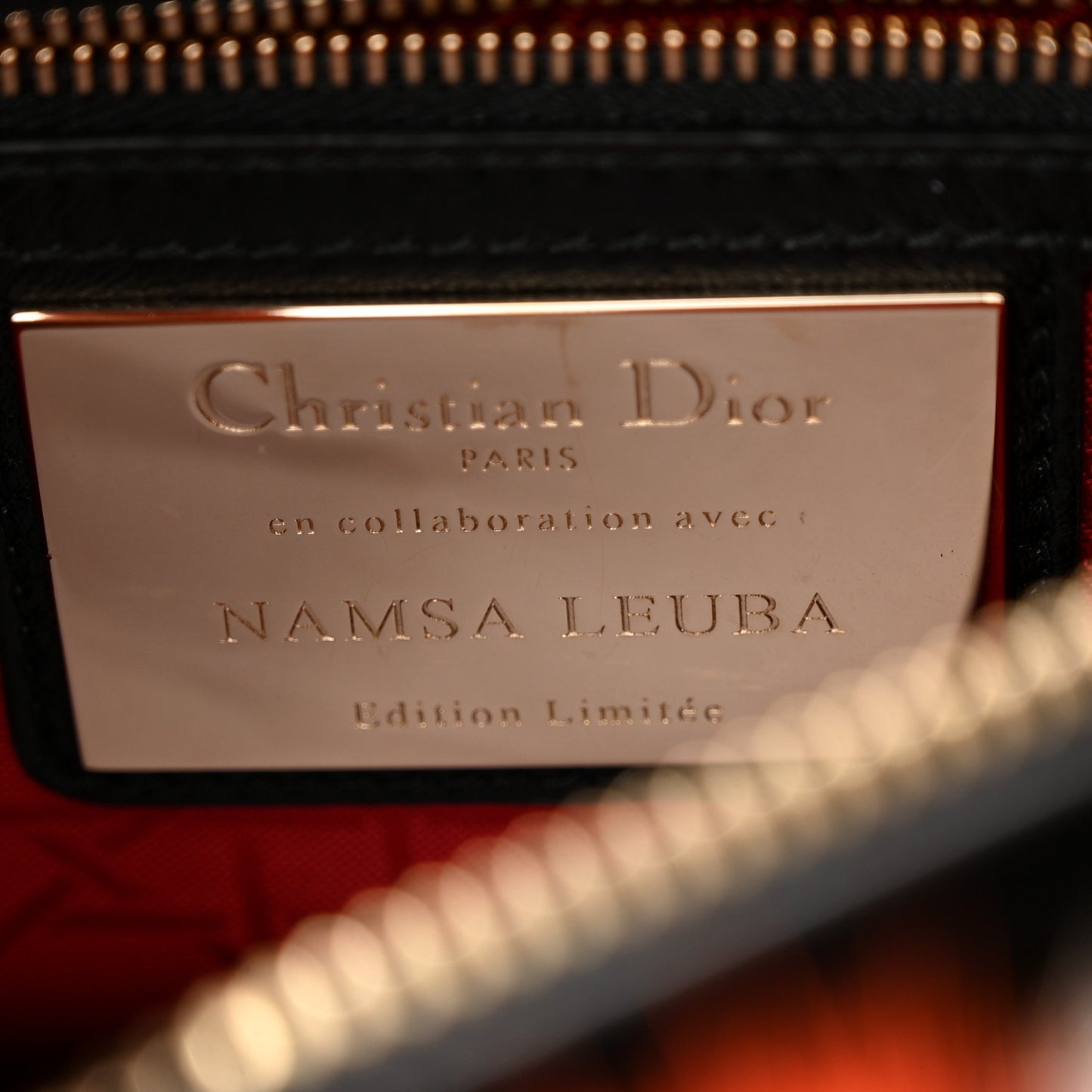 X NAMSA LEUBA Mink Fur Medium Lady Dior Art Multicolor