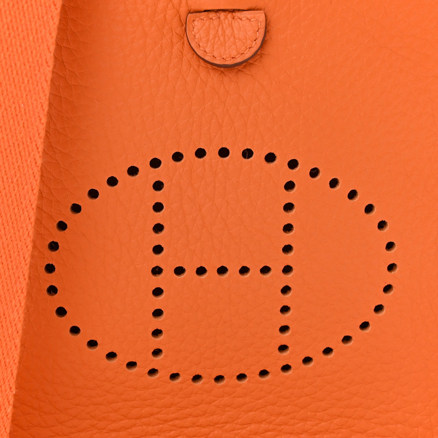Taurillon Clemence Evelyne TPM Orange