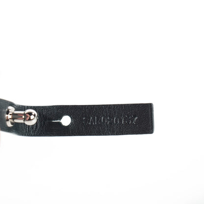 Goyard Goyardine Saint Louis PM Black 6 of 8
