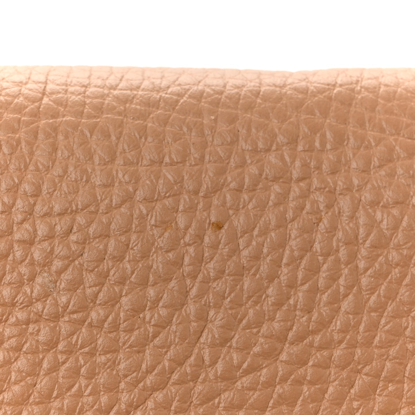 Pebbled Calfskin Soho Wallet On Chain Camelia