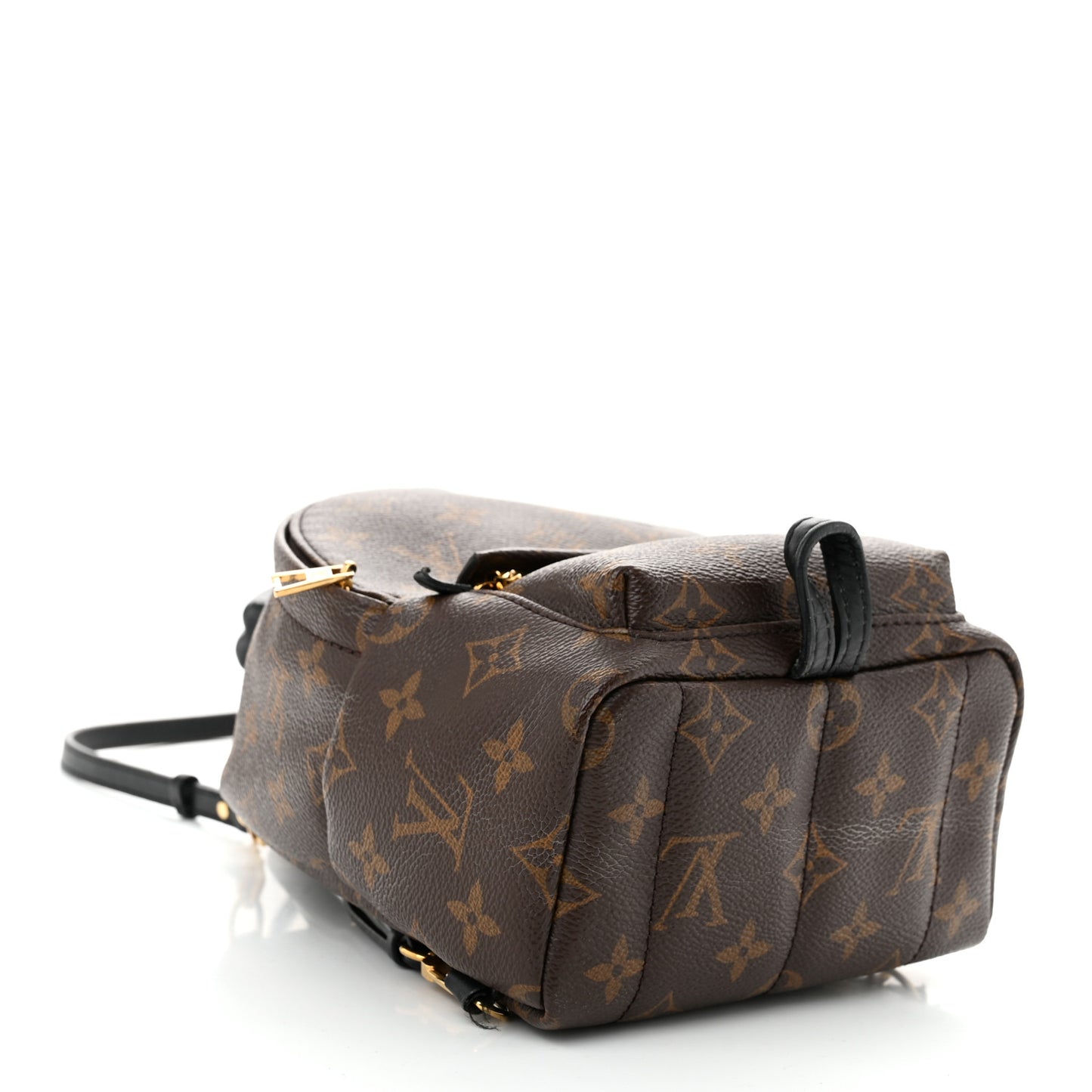 Monogram Palm Springs Backpack Mini