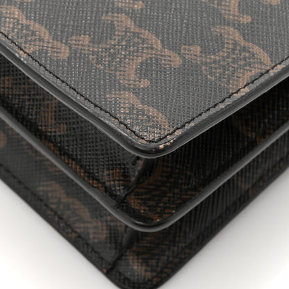 Celine Triomphe Canvas Lambskin Wallet On Strap Tan 14 of 21