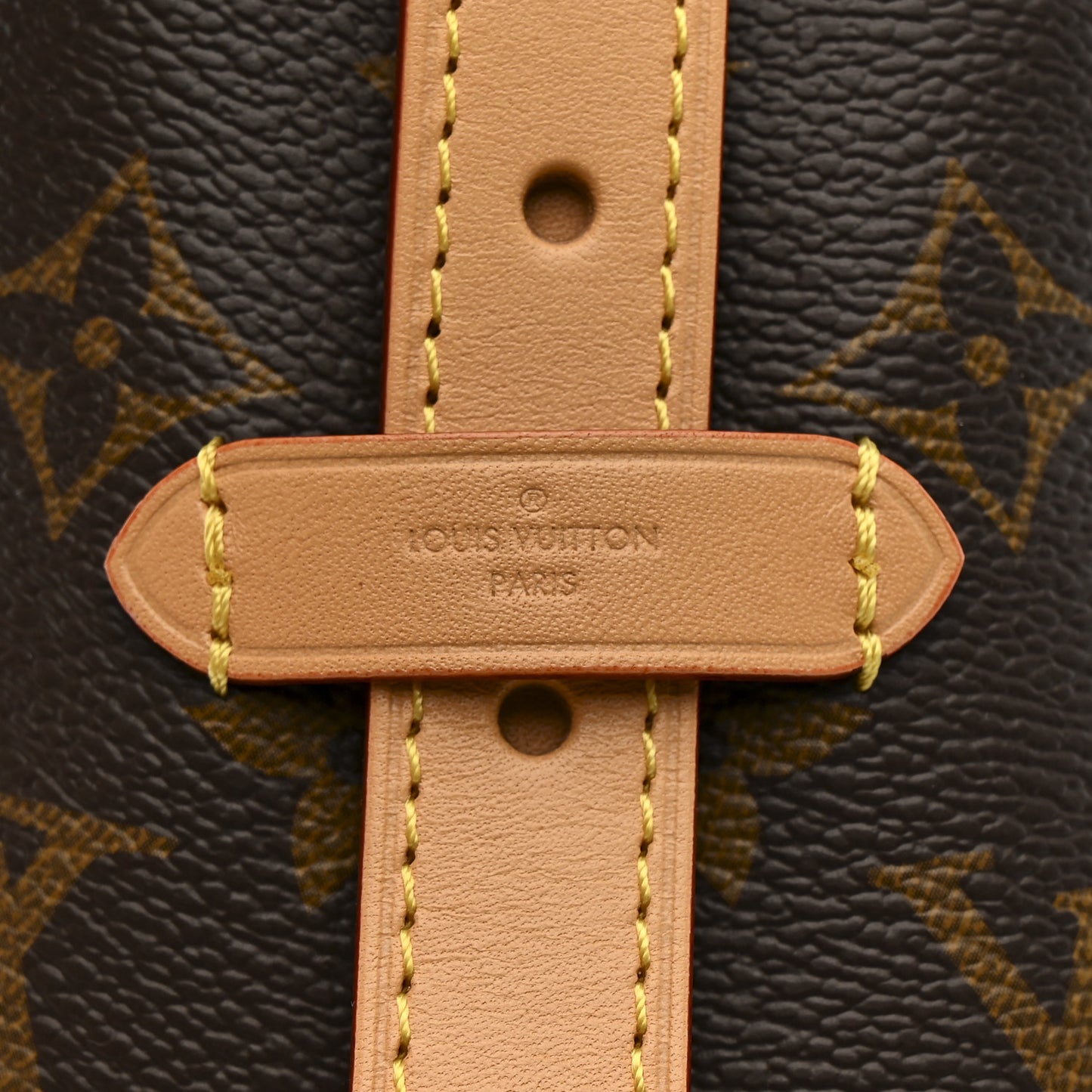 Monogram CarryAll PM