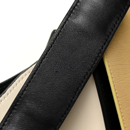 Celine Velluto Calfskin Medium Tri-Color Trapeze 14 of 20