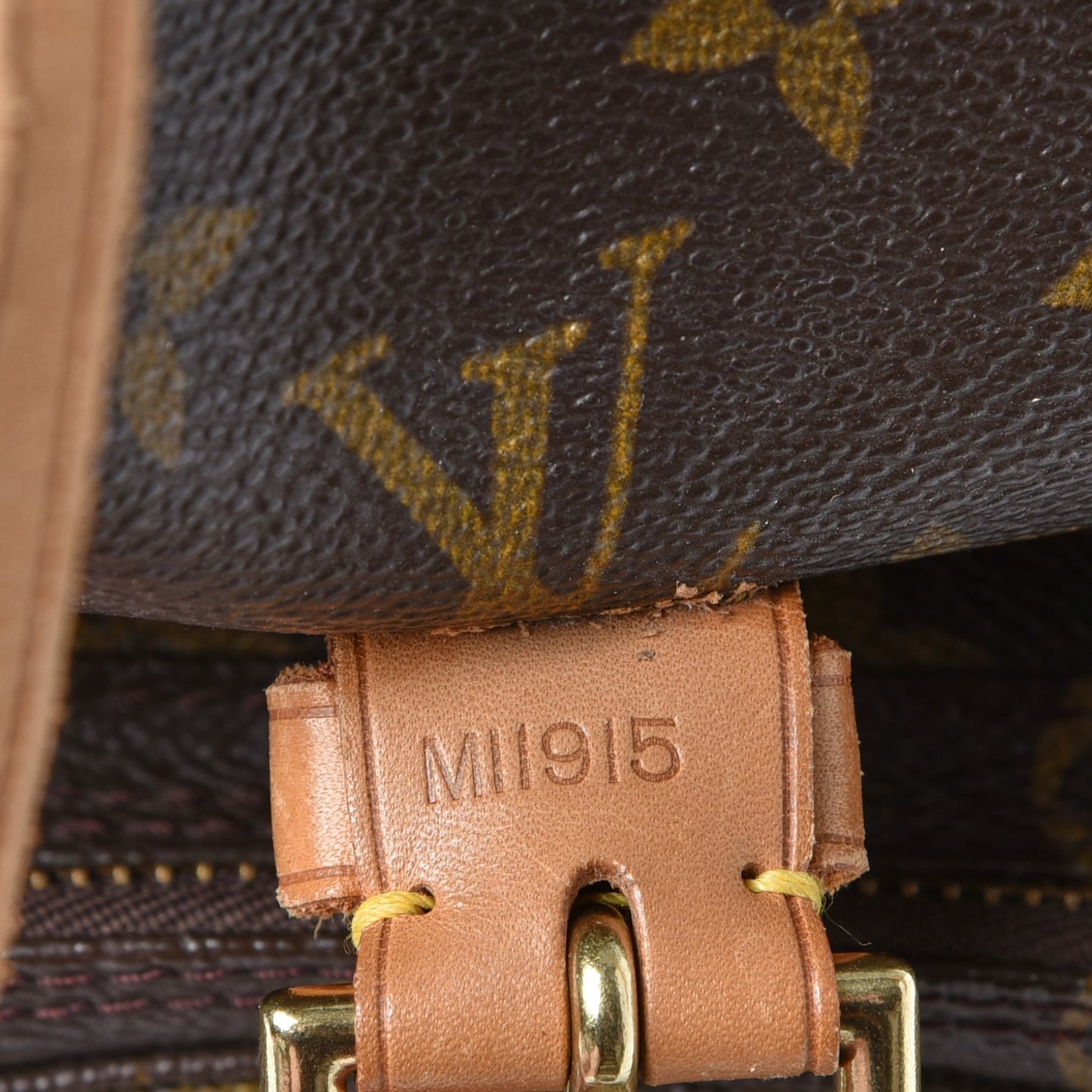 Monogram Montsouris GM Backpack