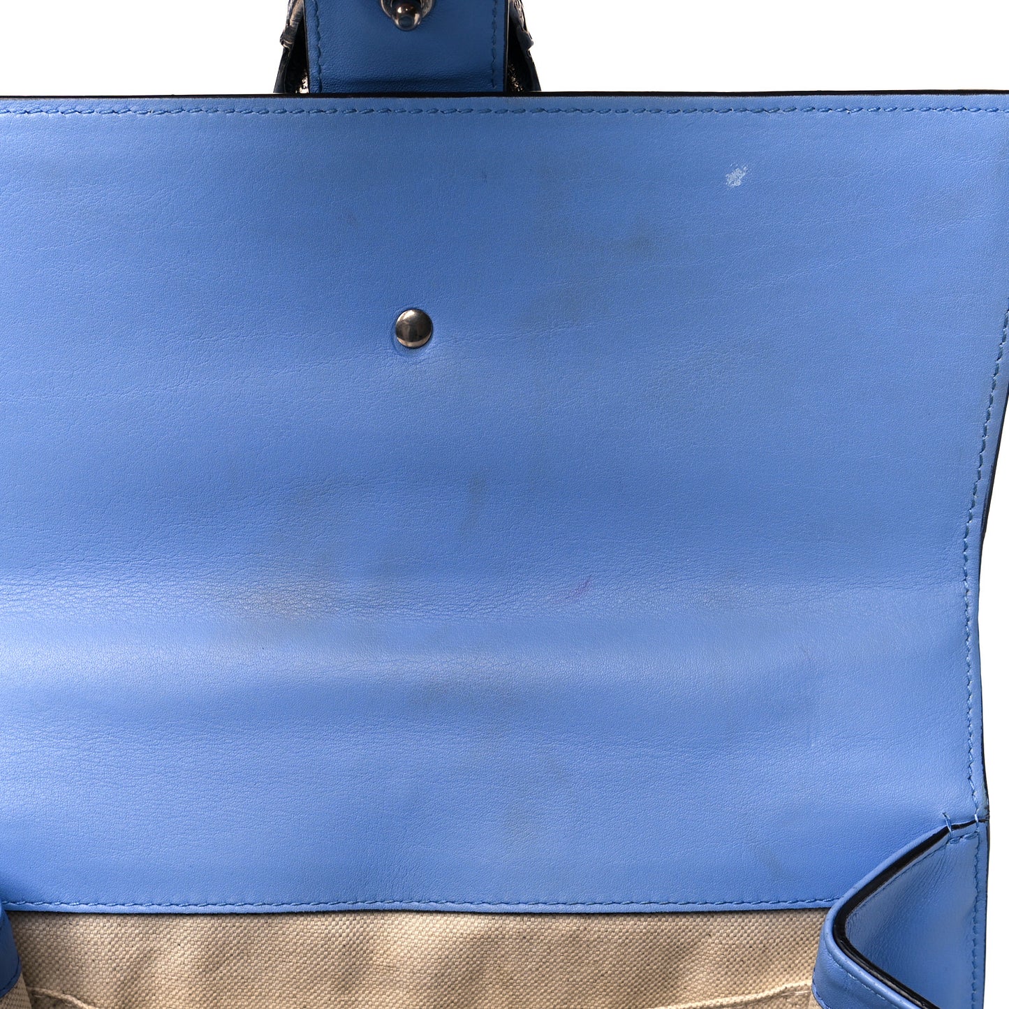 Calfskin Bamboo Web Embroidered Medium Dionysus Top Handle Bag Light Blue
