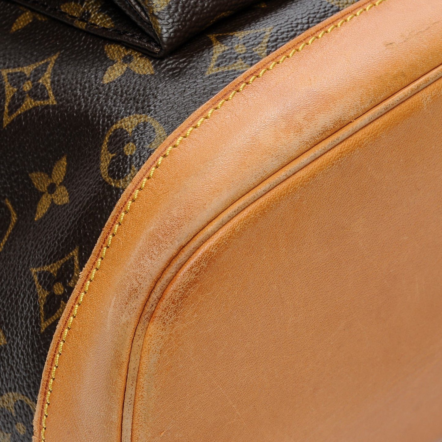 Monogram Montsouris GM Backpack