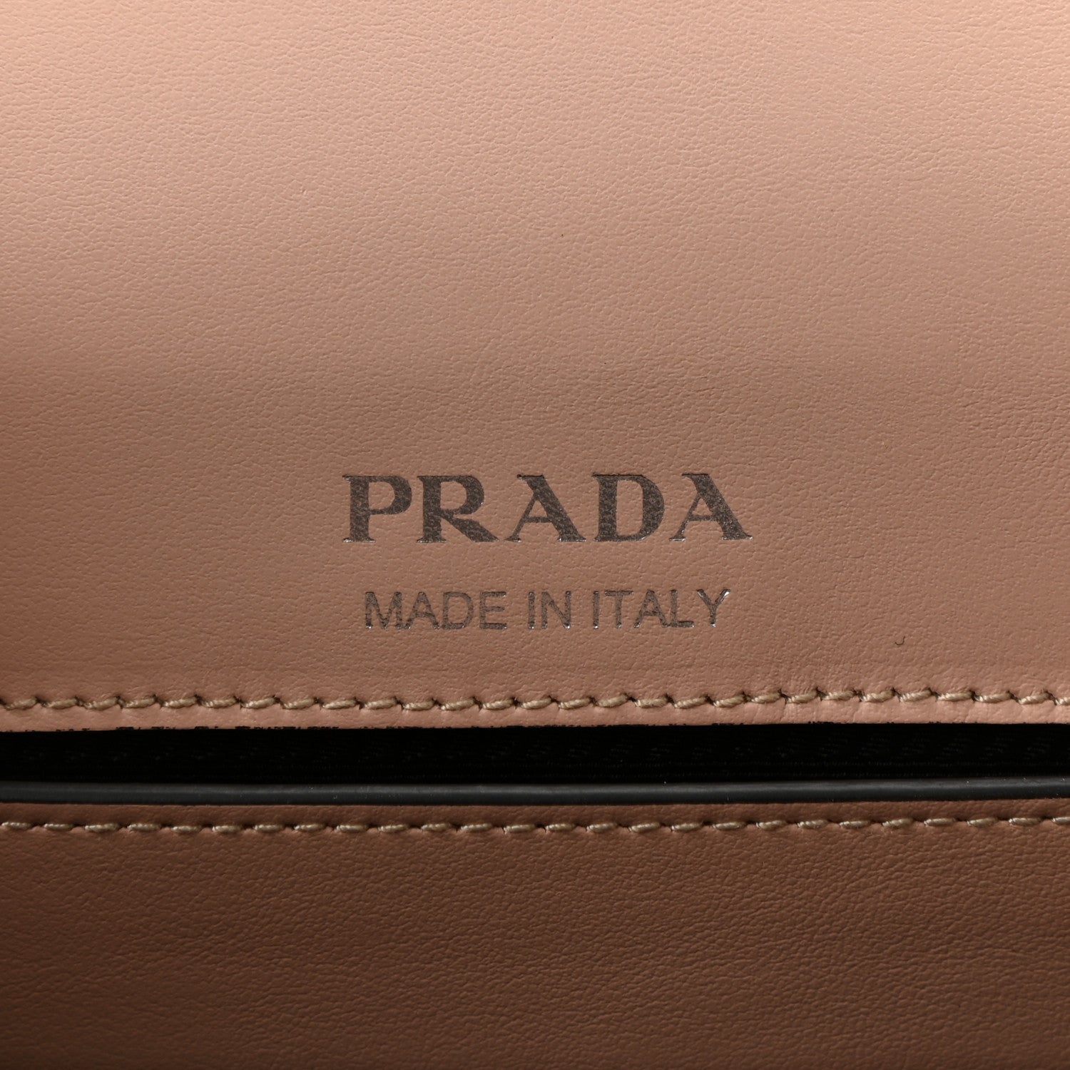 Prada Spazzolato Soft Calfskin Plex Ribbon Bag Pesco 6 of 9