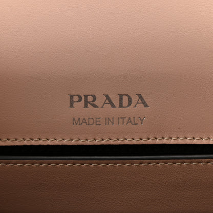 Prada Spazzolato Soft Calfskin Plex Ribbon Bag Pesco 6 of 9