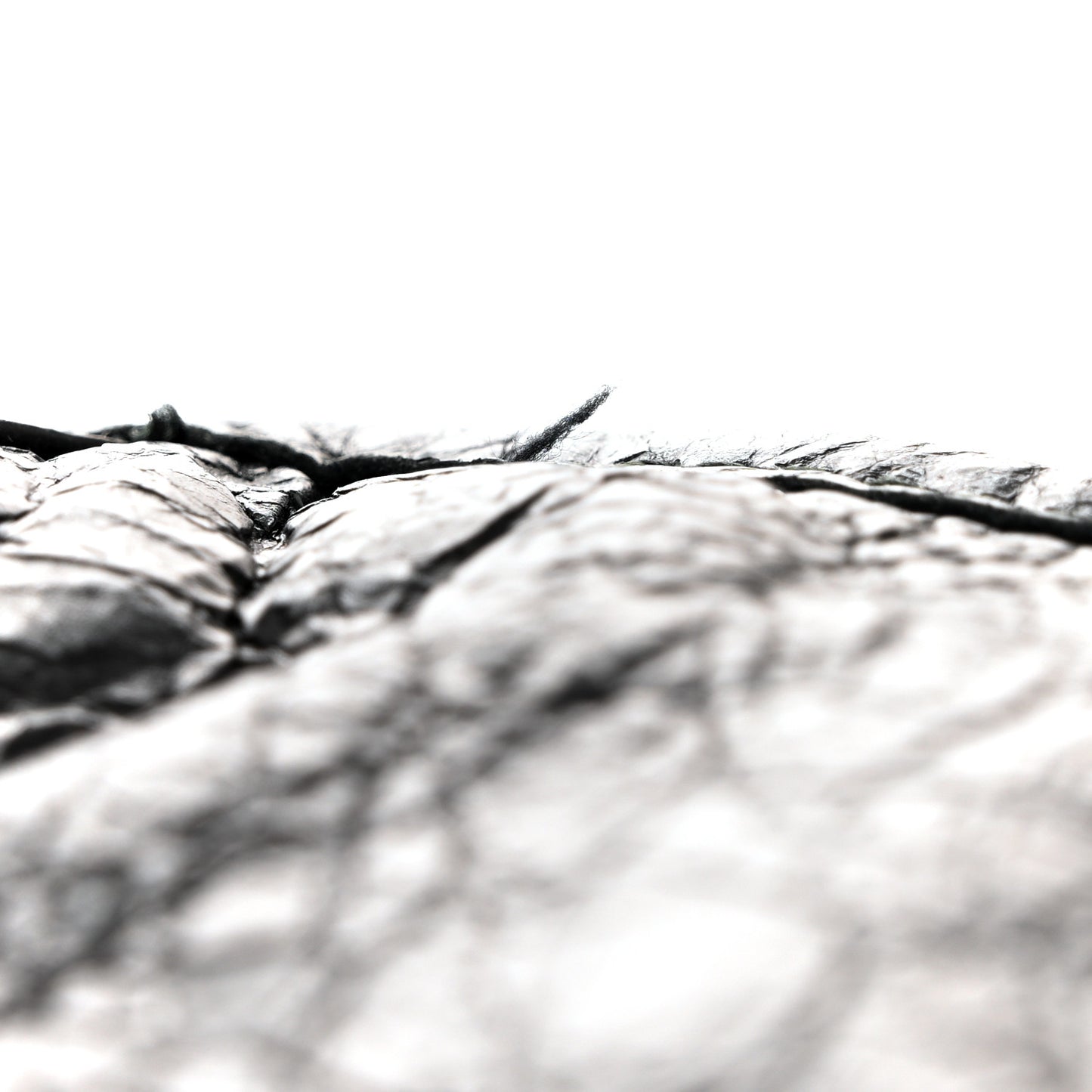 Agneau Giant 12 Silver Hardware City Black