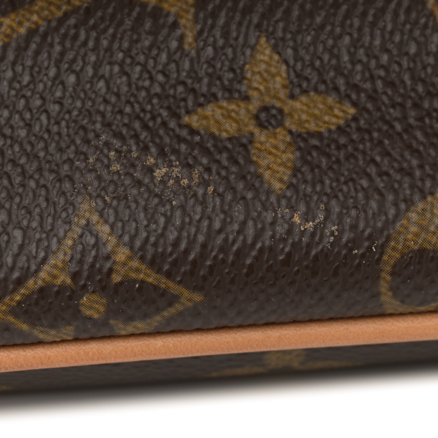 Louis Vuitton Monogram Hudson GM 10 of 11