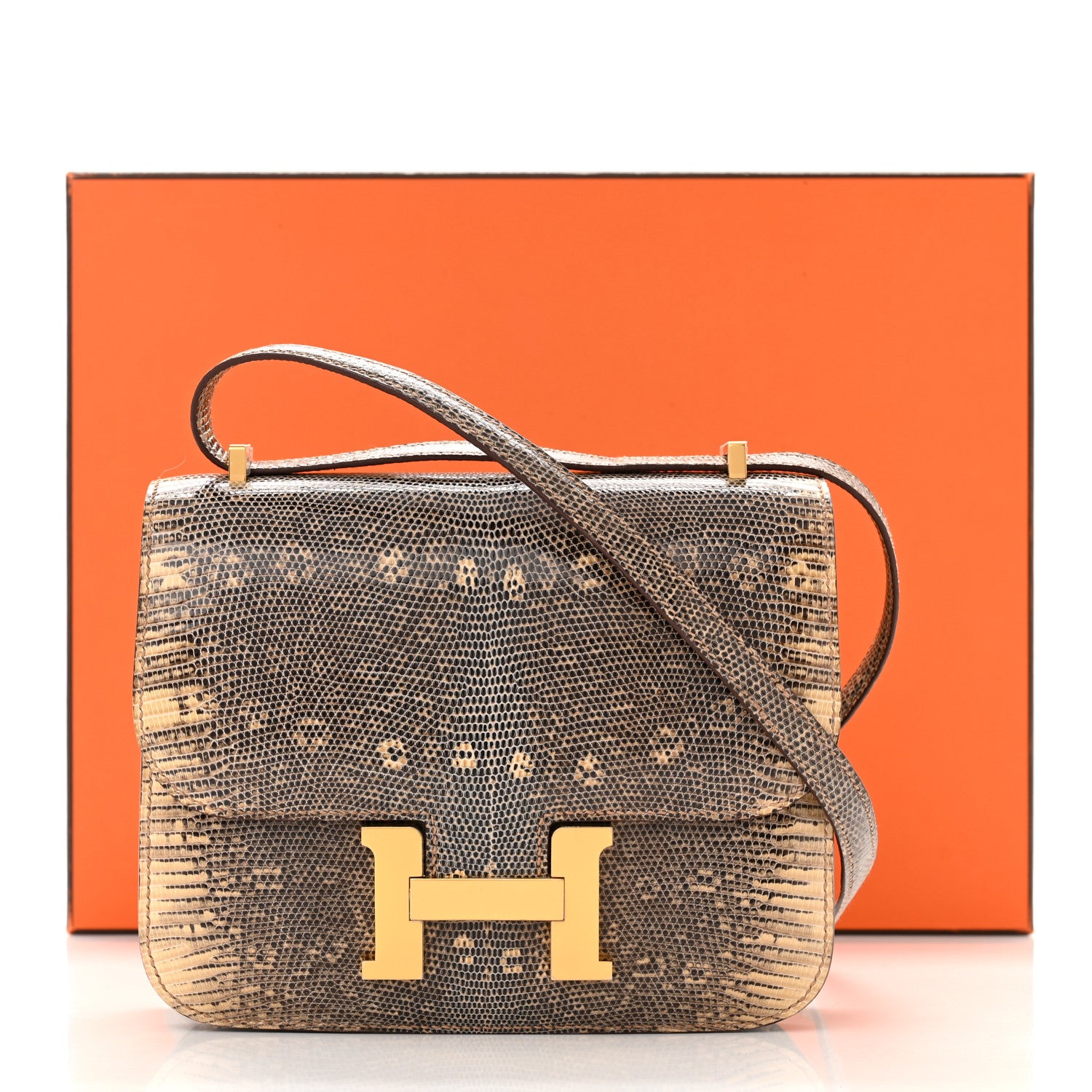 Hermes Lizard Constance 18 Ombre 11 of 11