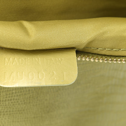 Christian Dior Lizard Mini Saddle Pochette Green 9 of 10