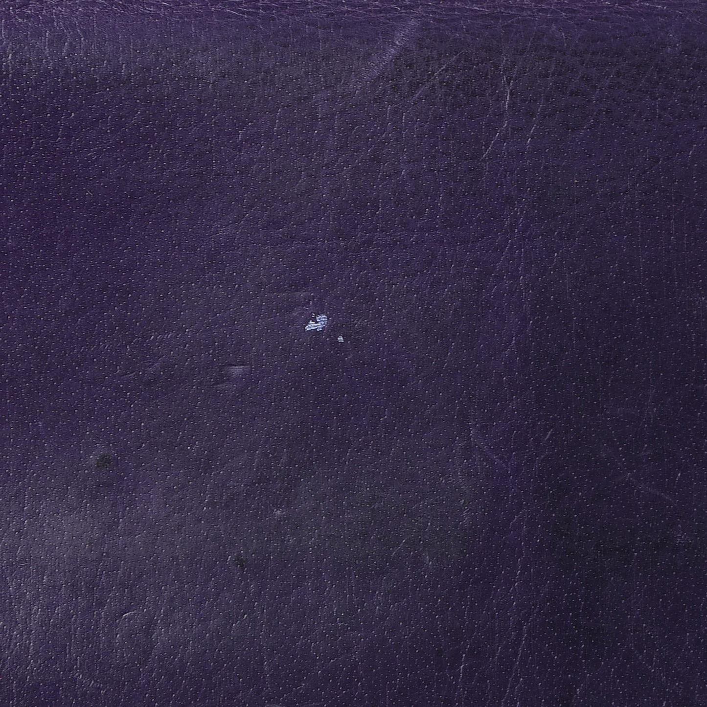 Grainy Calfskin Bayswater Wallet Grape