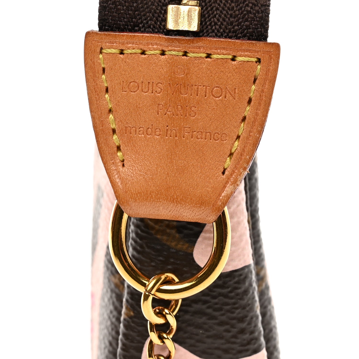 Louis Vuitton Monogram Tahitienne Capri Mini Pochette Accessories 6 of 8